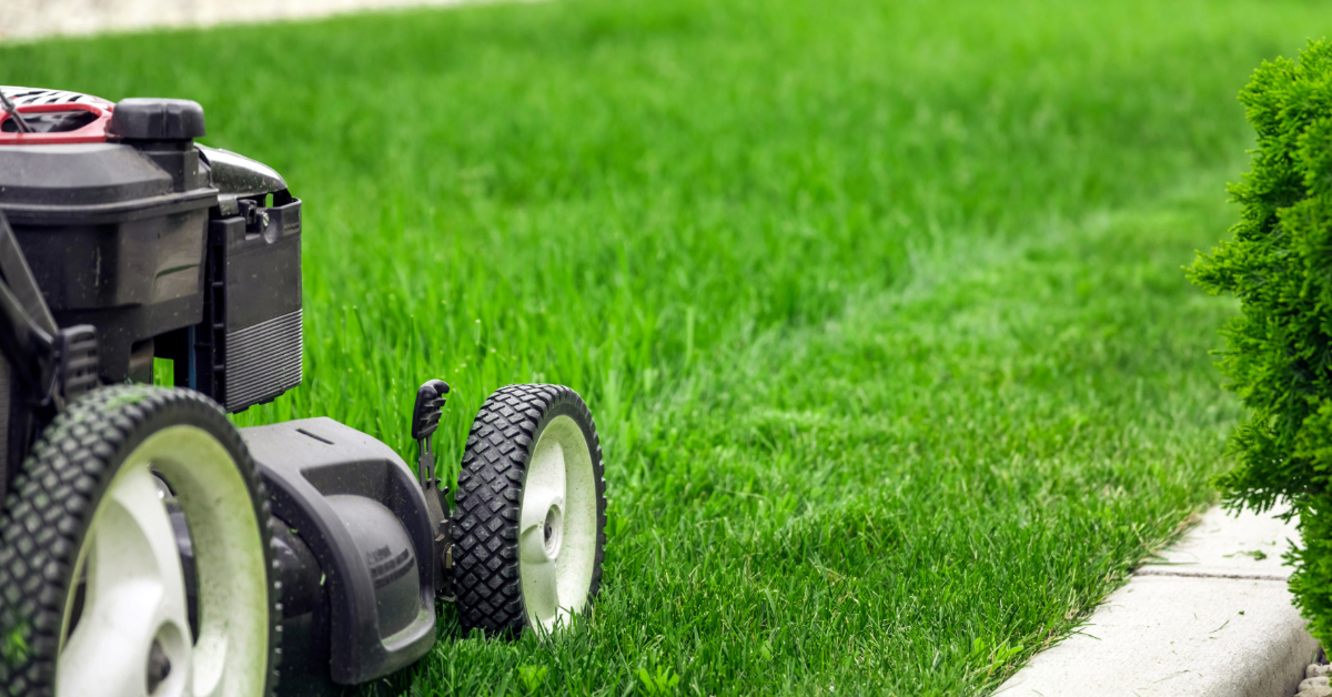 Cut-N-Clean Lawn Care is Your Top Choice