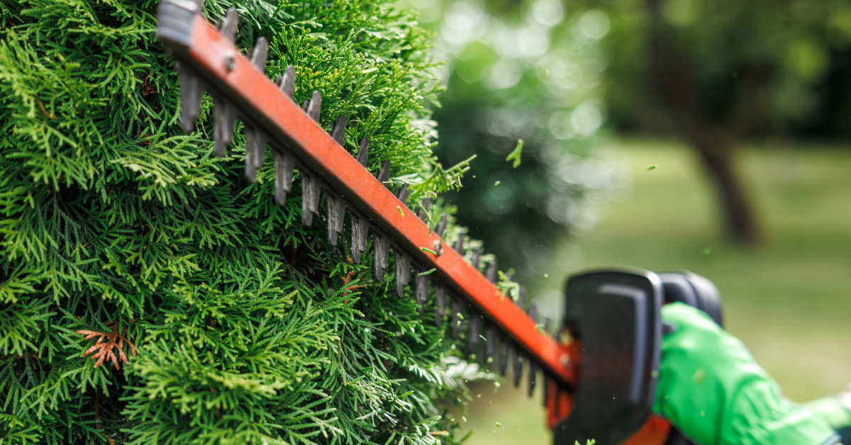 cut n clean tennessee lawn care String Trimming