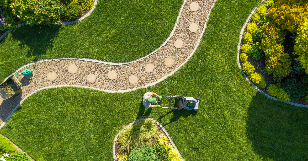 Cut-N-Clean Lawn Care: More Than Just Lawn Care - A Commitment to Community