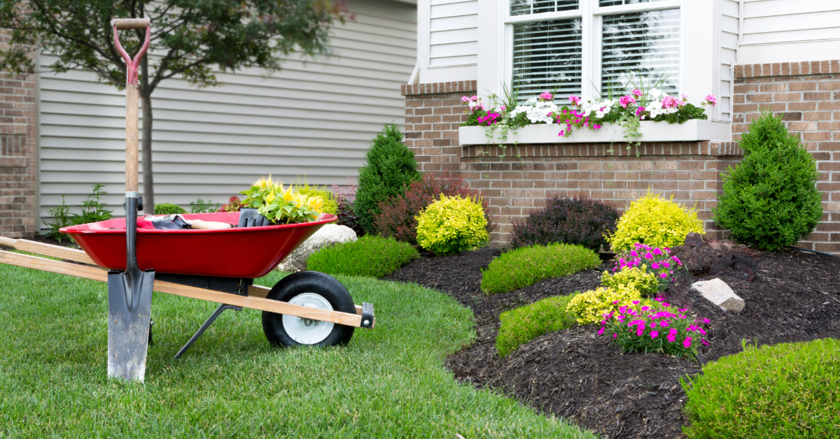 cut n clean tennessee lawn care lawn Blog 4